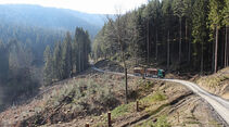 Starker Typ FF 7/2022, Tatra Phoenix, Holztransport