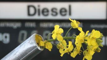 Symbolbild Biodiesel
