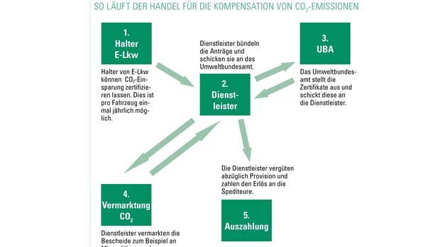 THG-Quoten