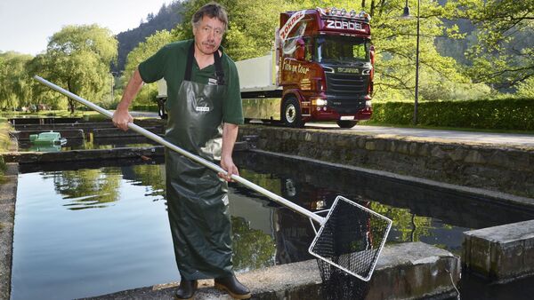 Transport lebender Fische 