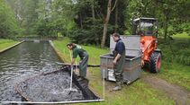 Transport lebender Fische 