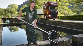 Transport lebender Fische 