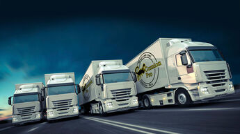 Transportverband Camion Pro