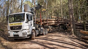 Truckjobs Fahrer von Rundholz-Transporter