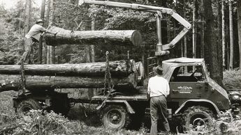 Unimog