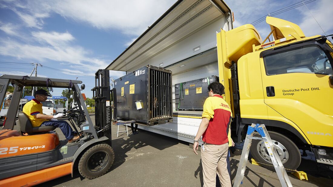 Verladung der Braunbären durch DHL