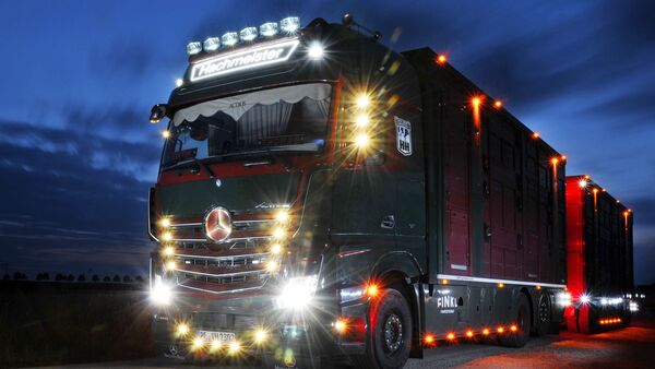 Viehtransport in Schleswig-Holstein