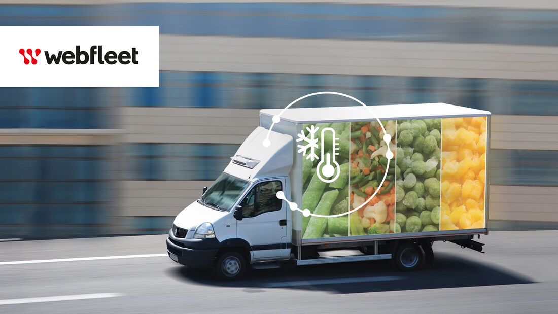 Webfleet 