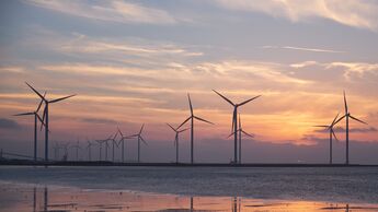 Windpark im Meer