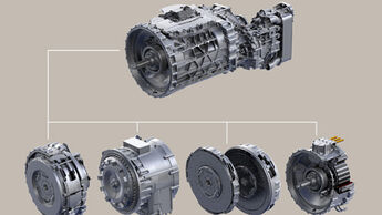 ZF