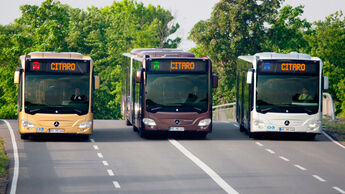 citaro, drei