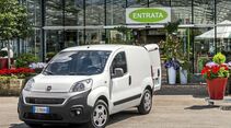 fiat, professional, fiorino, transporter, kastenwagen