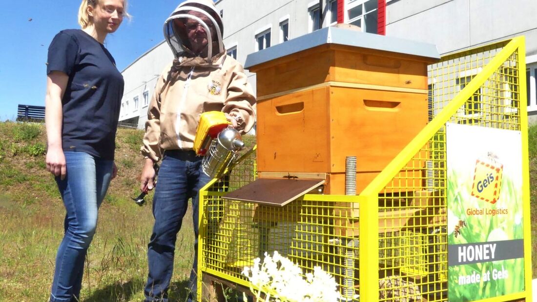 160.000 Bienen fliegen bei Logistiker