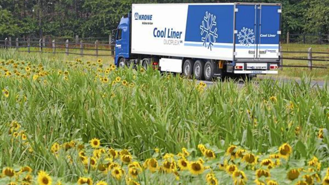 Elvis stellt Pooltrailer vor