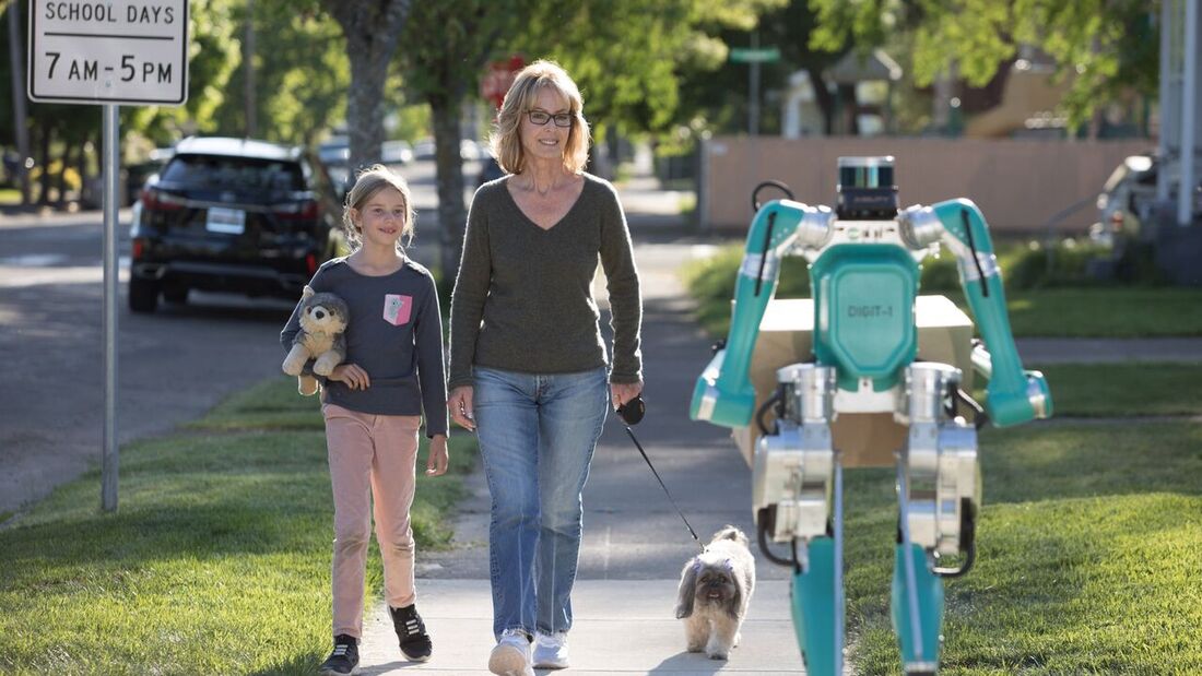 Roboter stellt Pakete zu