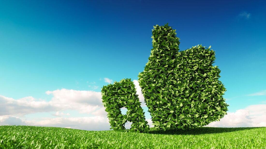 Bloß kein Greenwashing