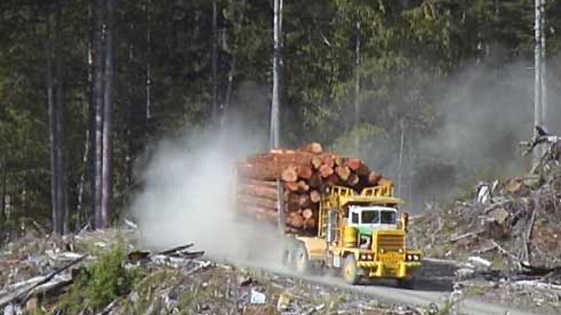 Megatrucks meistern Holztransport in Kanada