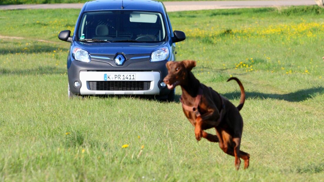 Renault Kangoo Z.E. auf Strecke