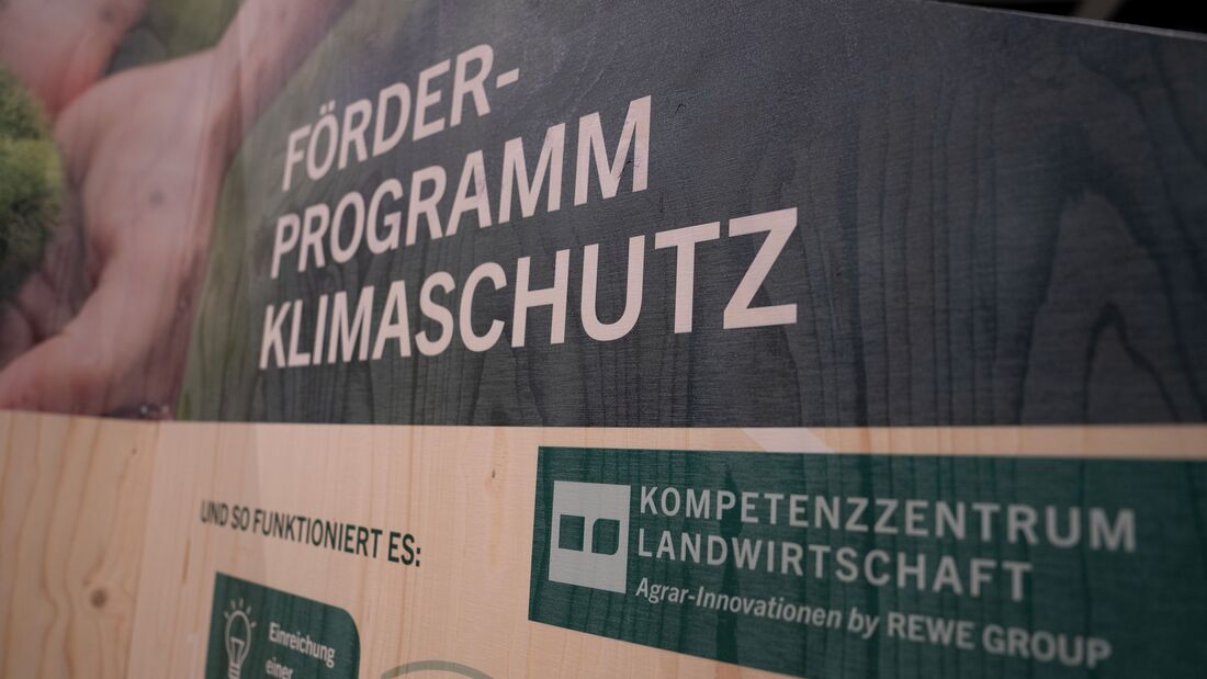 Geld für den Klimaschutz