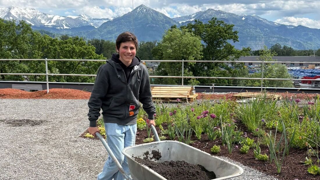 Schüler pflanzen Chilis, Kürbisse und Kräuter