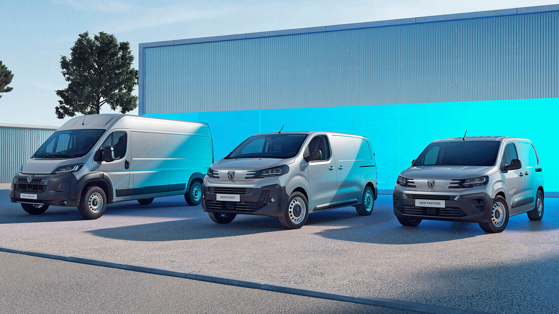 Peugeot Professional