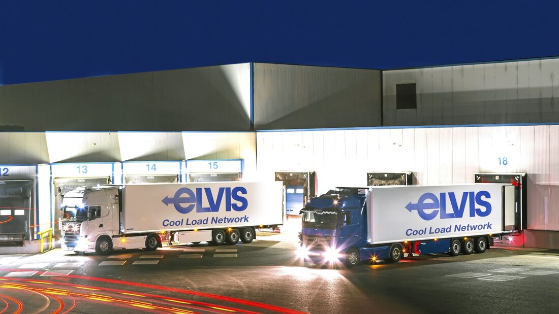 Elvis ganz cool