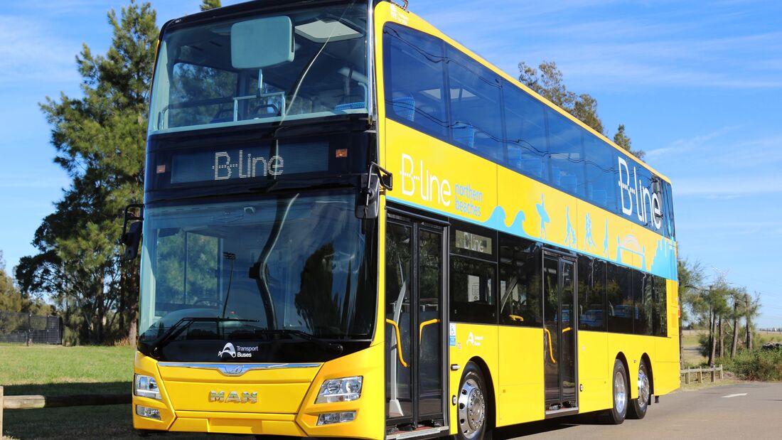 38 Busse zum Markteinstieg