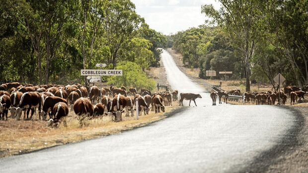roadtrain, australien, lang-lkw