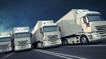 weiße Lkw, Flotte